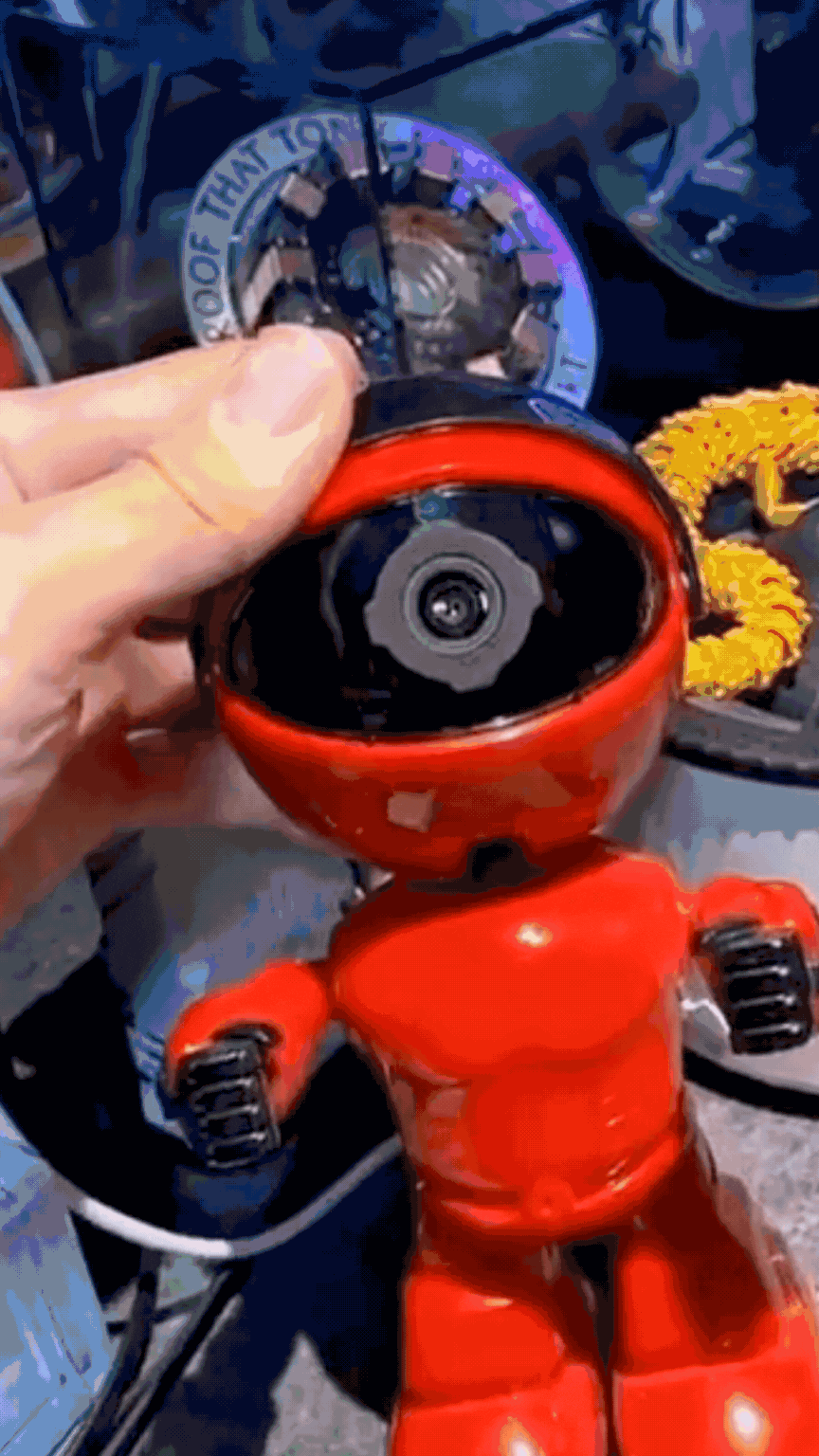🔒 Everyday Nest Mini Camera Detector
